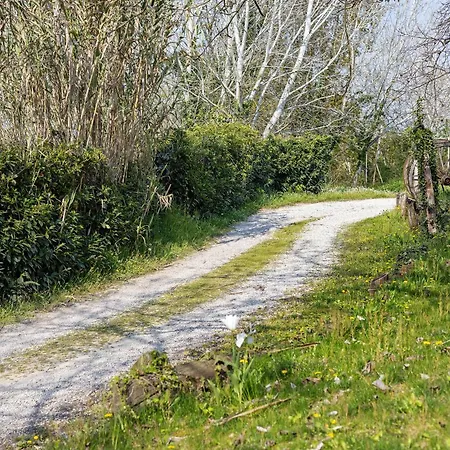 Fattoria Delle Vignole Villa *