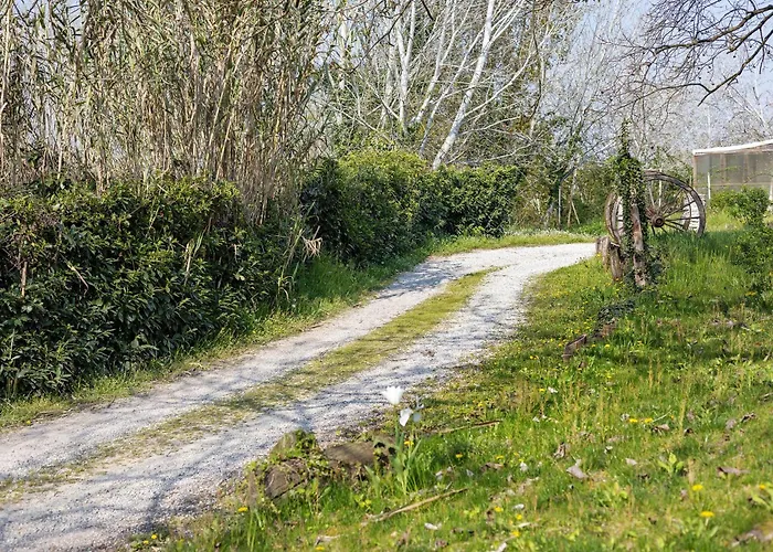 Fattoria Delle Vignole Villa *